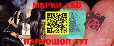 mdpv Славгород
