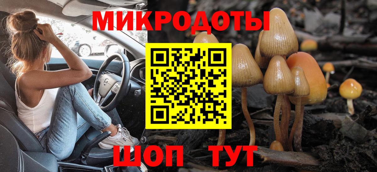 Галлюциногенные грибы Cubensis Сунжа