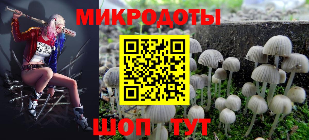 Галлюциногенные грибы мухоморы  Вход с VPN  Сунжа 