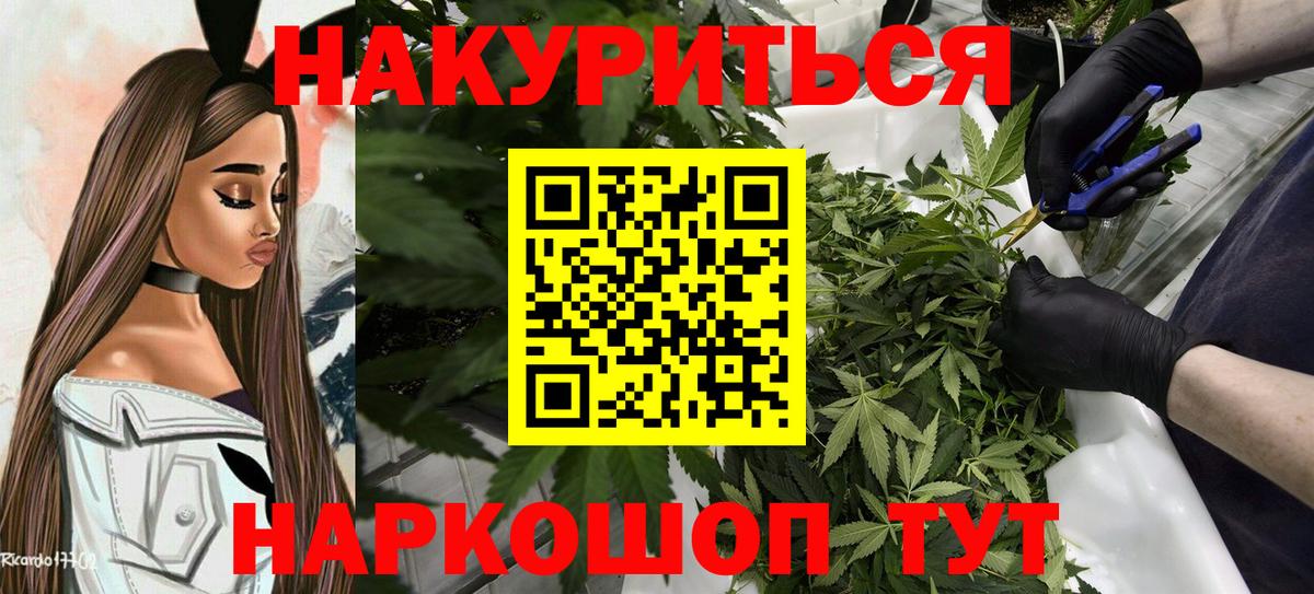 Каннабис планчик Сунжа